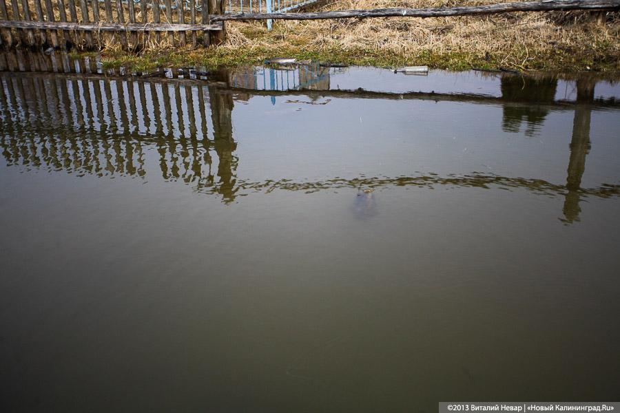 На родине Цуканова в пос. Липово тонет кладбище (+фото)