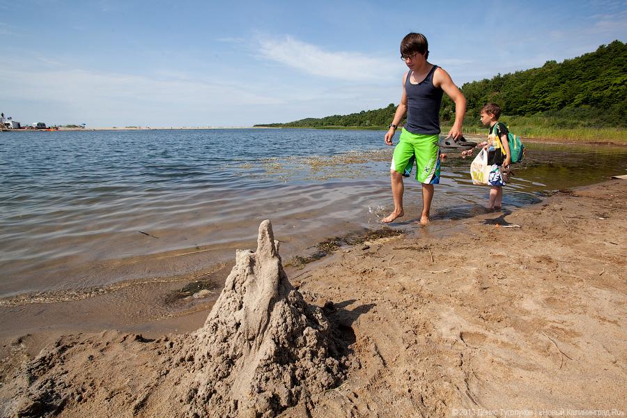 Дорогой поселок: где поесть в Янтарном