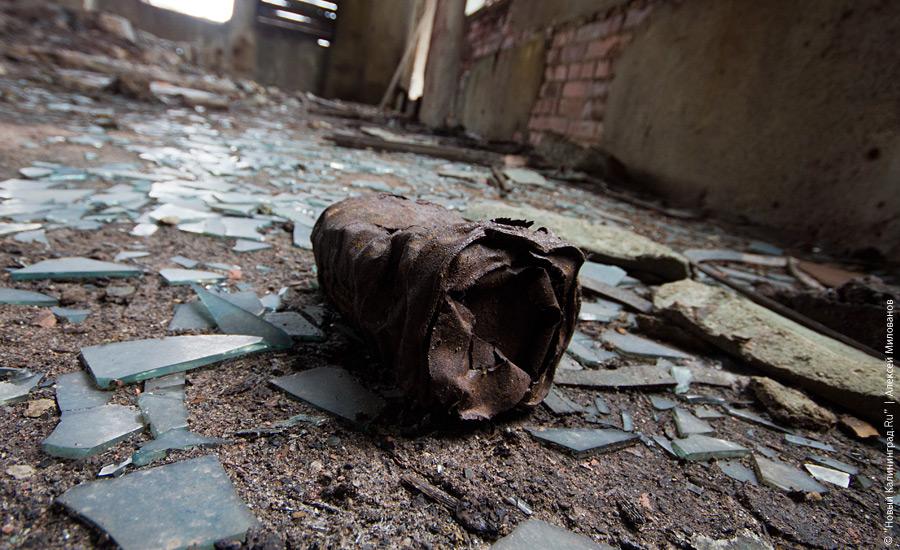 "Пустые дома: ЦБЗ-1": фотопроект "Нового Калининграда.Ru"