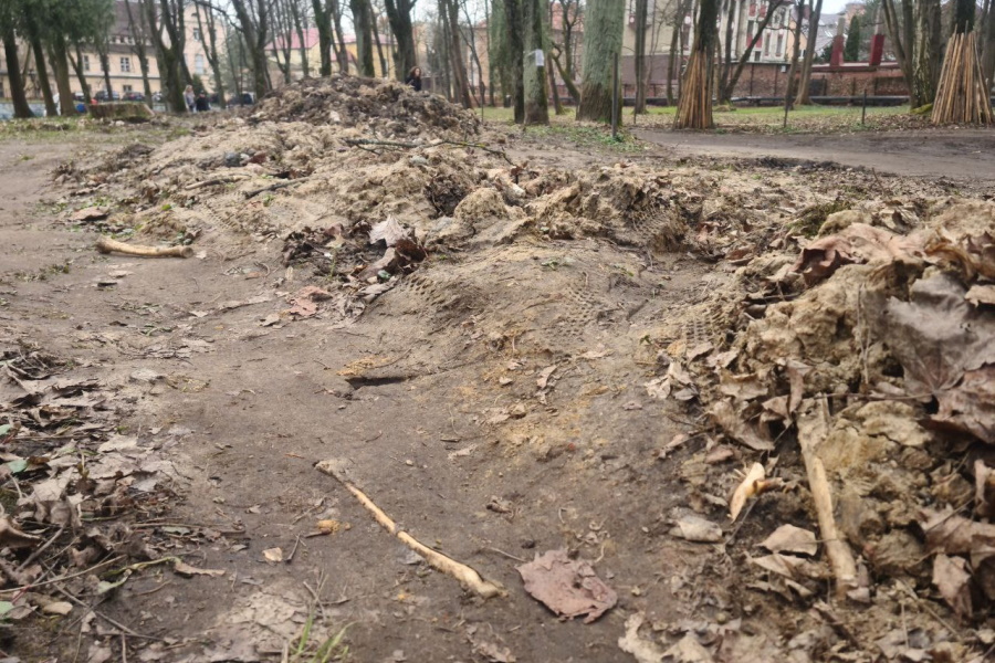 В ЦПКиО во время прокладки кабеля нашли скелет красноармейца (фото) (видео)