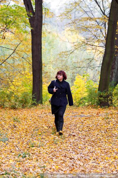 Днём совсем не страшно: осенний Балтийский парк