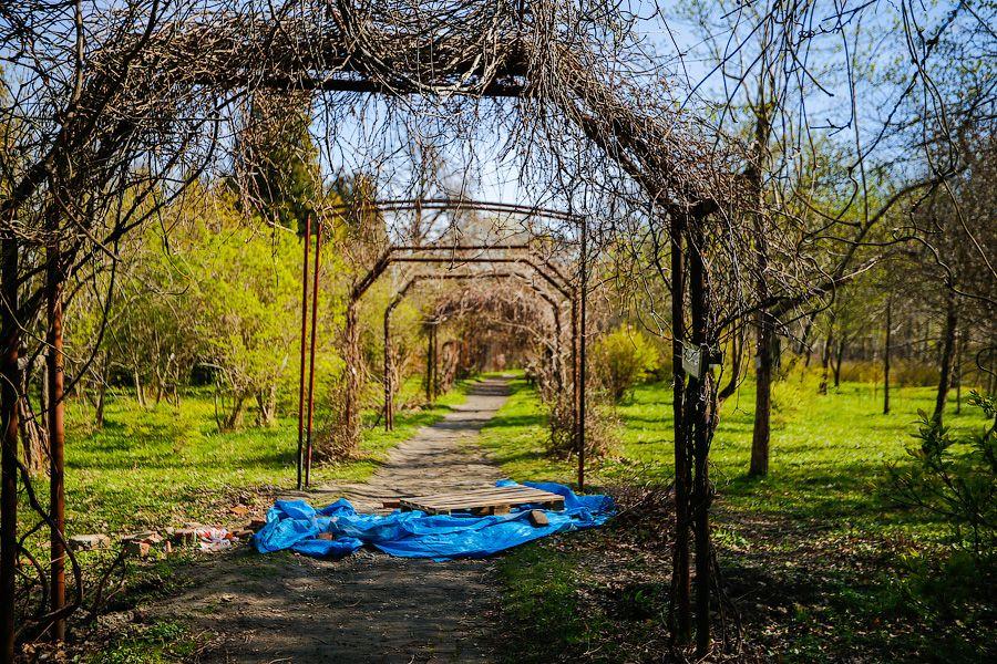 Пастораль ручной работы: весенний Ботанический сад