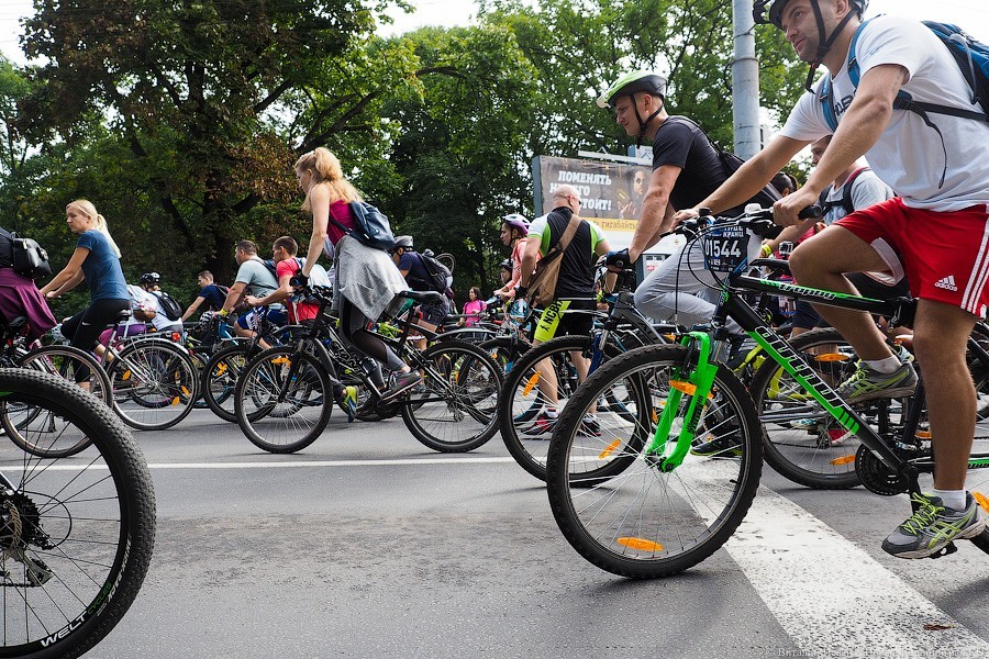 Фото — Виталий Невар, «Новый Калининград»