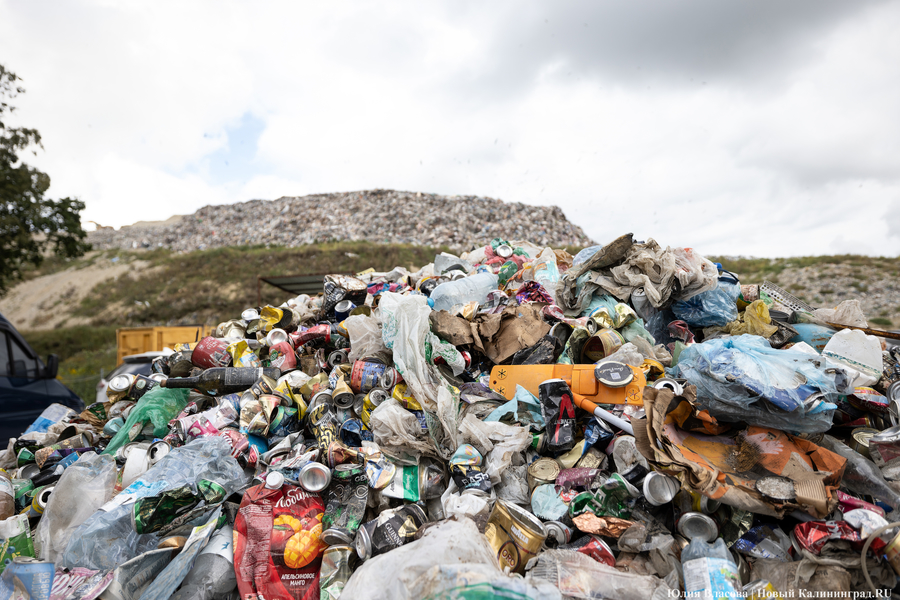 «Стихией управлять не научились»: как глава Минприроды РФ понюхал воздух в Круглово (фото)