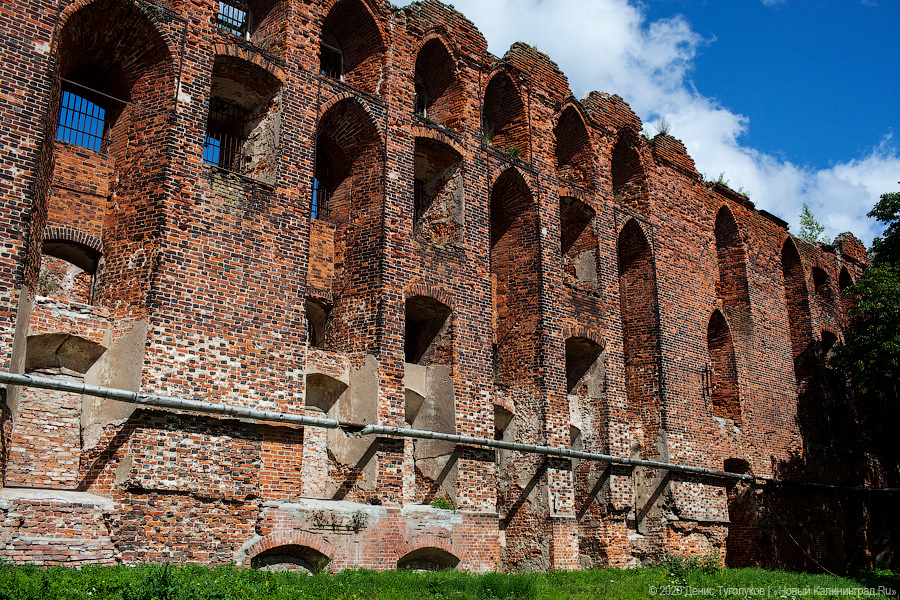 Фото: Денис Туголуков / Новый Калининград