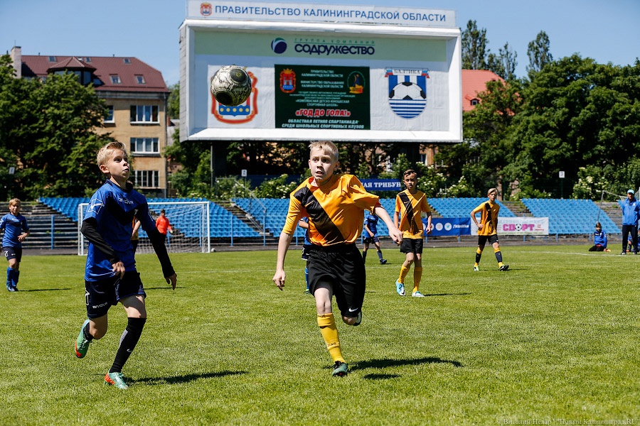 Год в свои ворота: калининградцы торжественно ждут ЧМ-2018