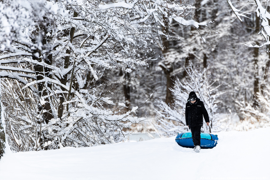 После двадцати лет ожидания: как Калининград встретил Новый год со снегом (фото)