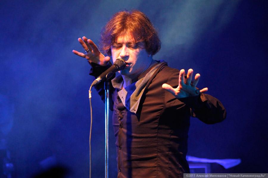 «Фурсенко на грани просвещения»: фоторепортаж «Афиши Нового Калининграда.Ru»