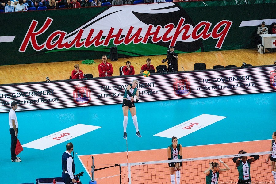 Волейбольный «Локомотив» стартовал в Лиге чемпионов с победы в 3 партиях (фото)
