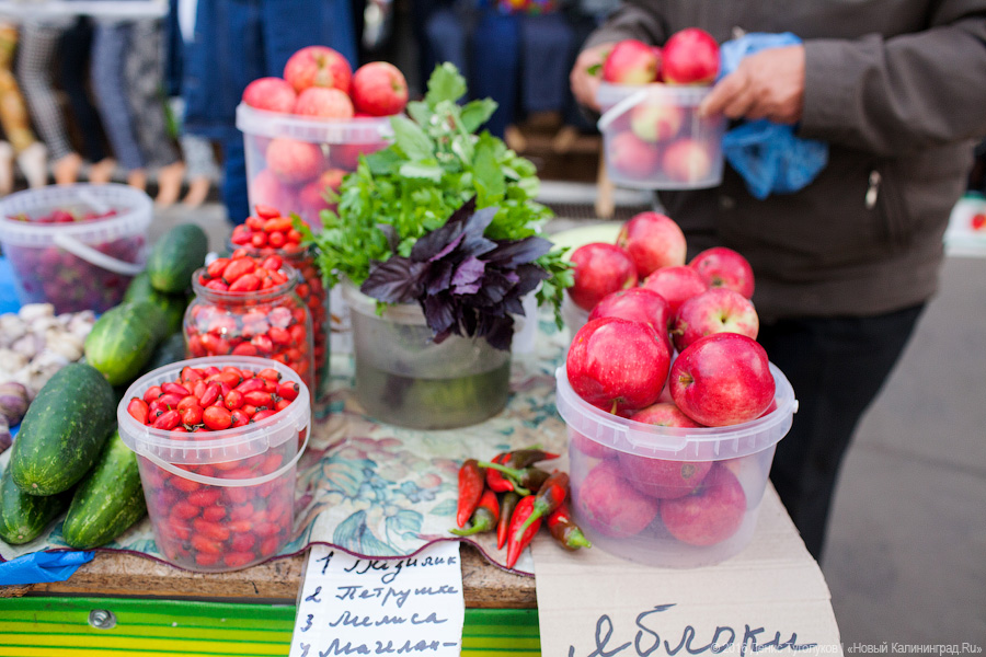 Треска из Пионерского, лещ из Полесска: что такое калининградская кухня