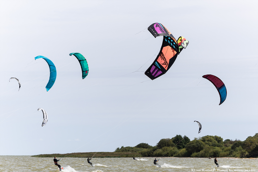 По воде против ветра: на Куршском заливе соревновались под кайтом и с крылом (фото)