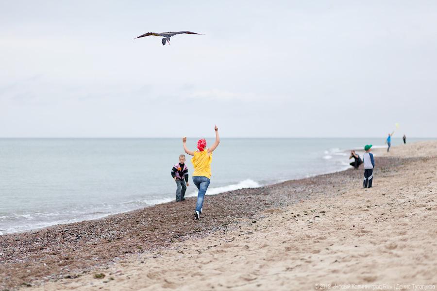 «Укротители кайтов»: фоторепортаж с фестиваля воздушных змеев
