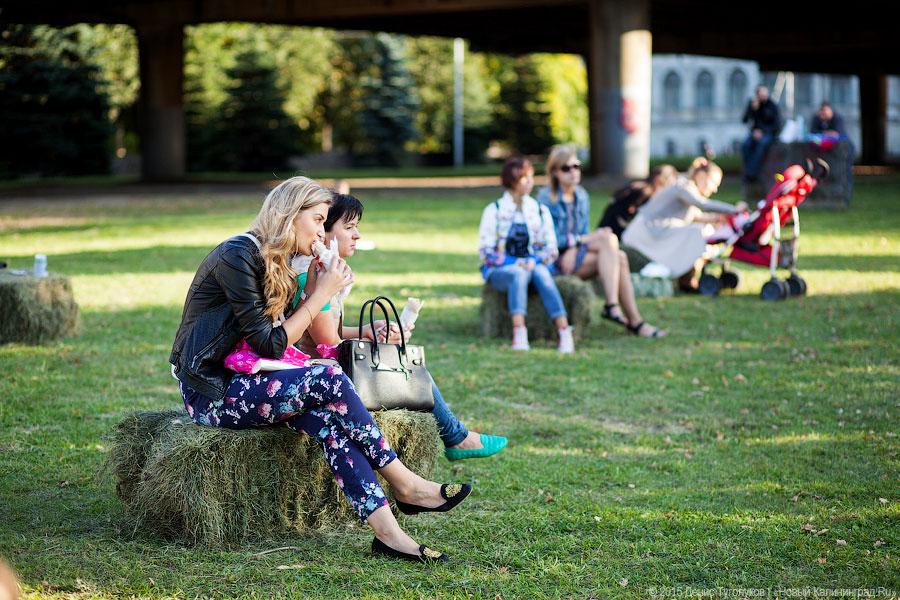 Кант был бы сыт: на острове стартовал «Street Food Weekend-2015»