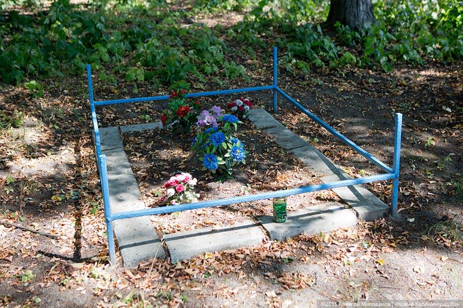 Найденные могилы: власти заинтересовались захоронениями на форту №3