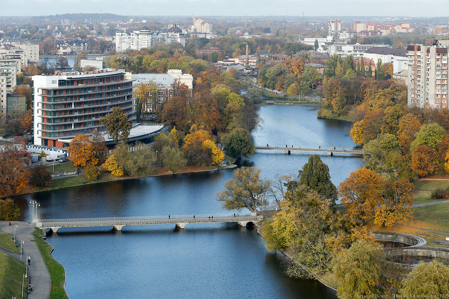 Фото — Виталий Невар, «Новый Калининград.Ru»
