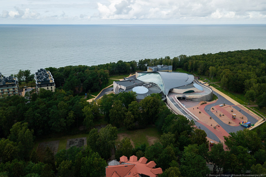 Фото: Виталий Невар / Новый Калининград
