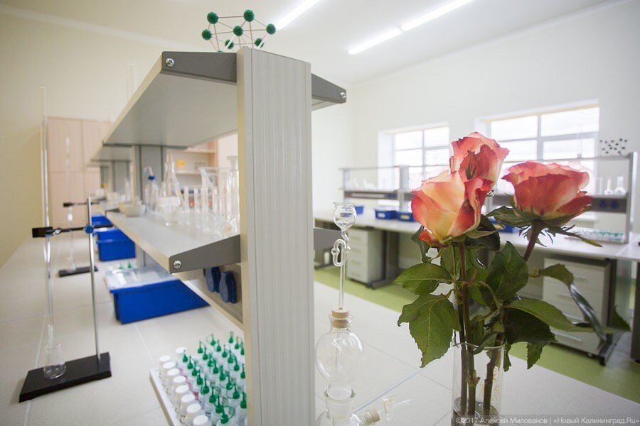 Вице-губернатор о выпускниках медвузов: «Народ уходит в эстетическую медицину»