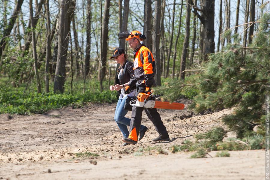 Лесной распил: как проходят соревнования лесорубов (фото)