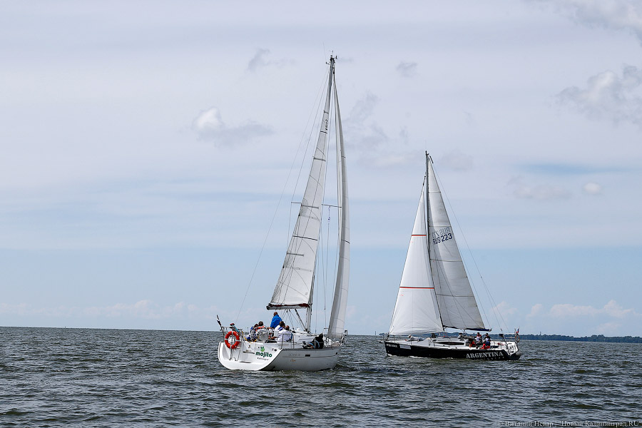 «Паруса духа»: как в Калининградском заливе инвалиды в регате побеждали