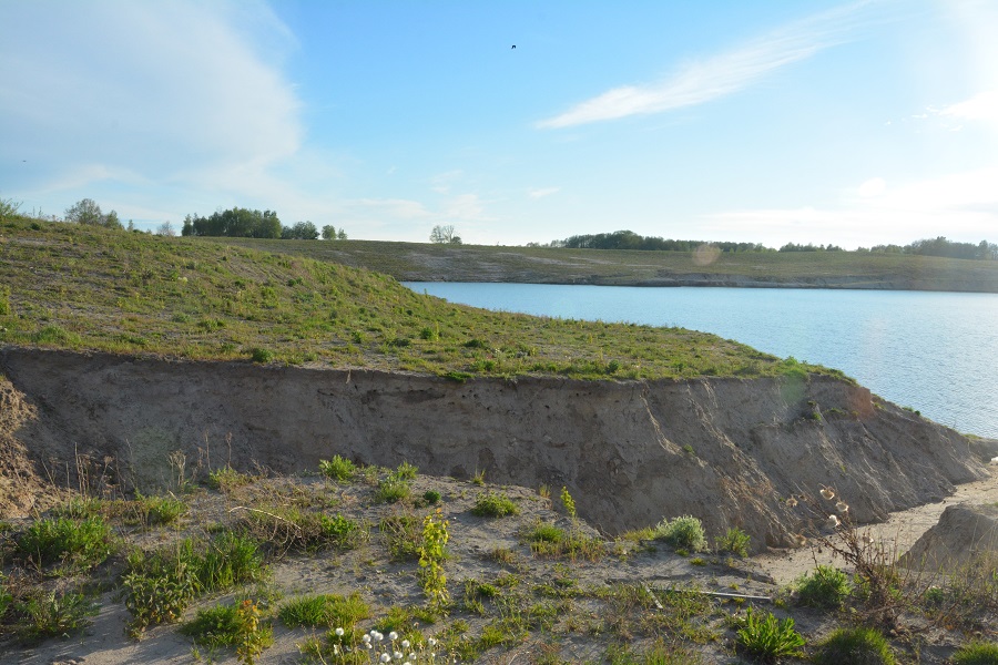 Озеро вместо леса: как выглядит после рекультивации карьер, где вырубили 60 га (фото)