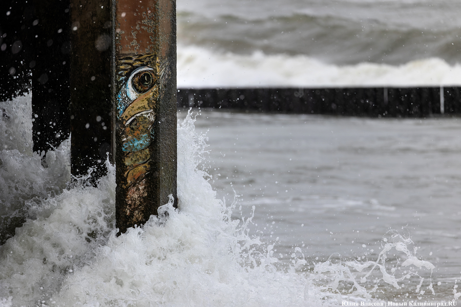 Штормовая вселенная: как циклон «Золтан» накрыл Зеленоградск (фото)