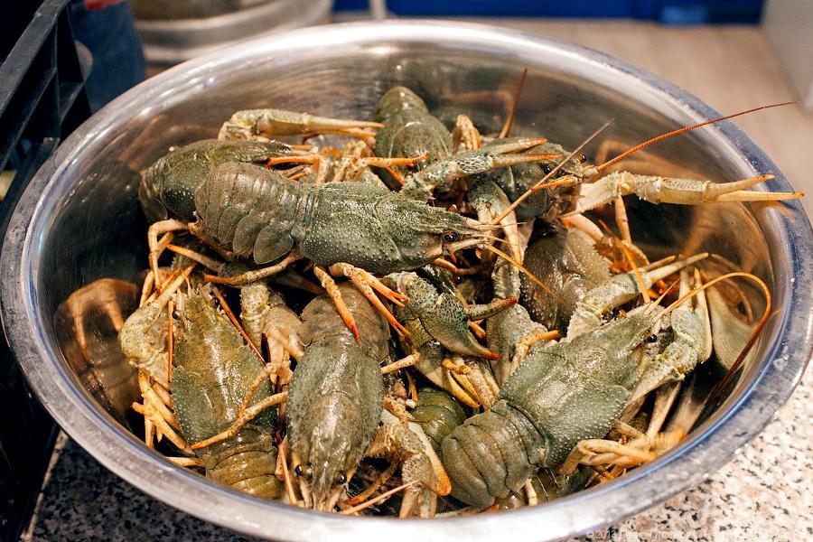 Где раки зимуют: владелец рачевни «Поплавок» Виталий Лозинский