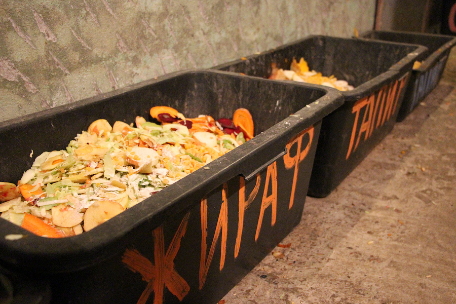 Фото предоставлено пресс-службой зоопарка