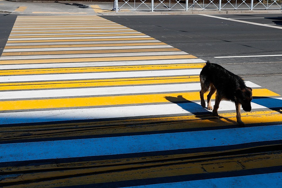 Конец мучений и брусчатки: Киевскую полностью открыли после ремонта (фото)