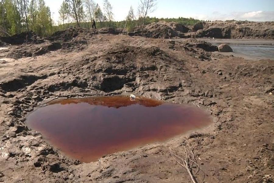 В Зеленоградской районе при засыпке карьеров полиция обнаружила копателей (фото)