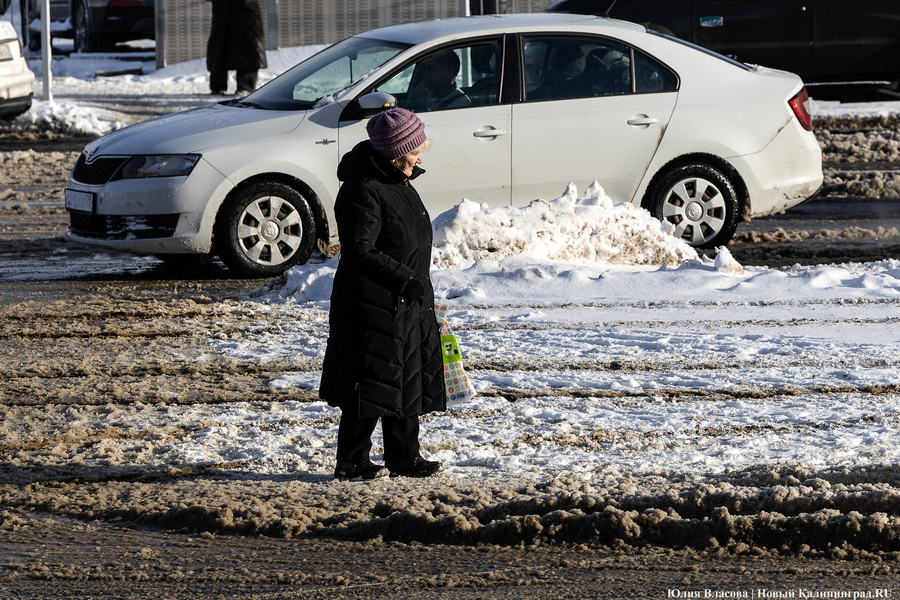 Внезапный снег: Калининград опять оказался не готов к осадкам (фото)