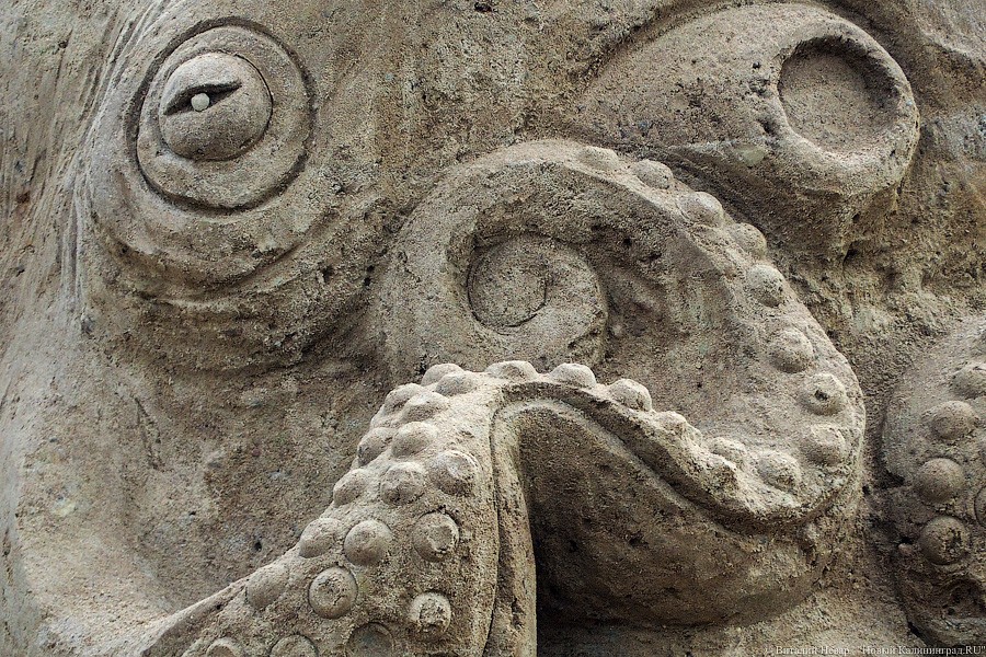 Со дна моря: в Зеленоградске сделали 5 скульптур из песка