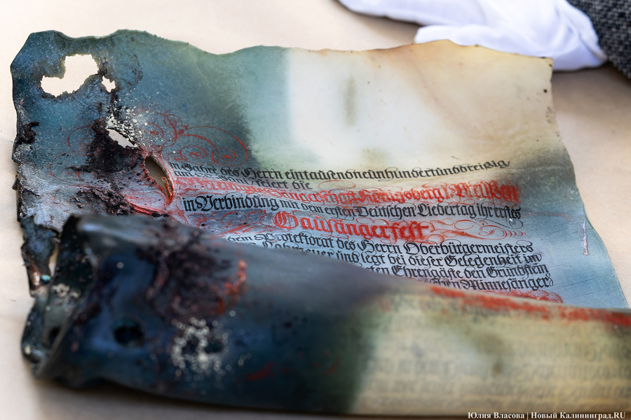 Эхо прошлого: в Калининградском зоопарке извлекли 94-летнюю «капсулу времени» (фото)