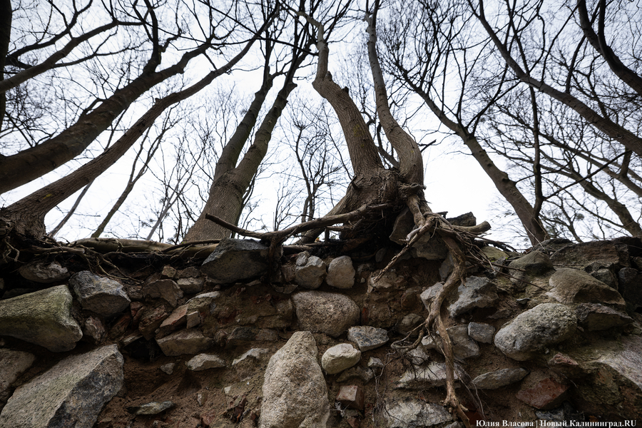 Непролазная грязь: как выглядит берег Литовского ручья в ожидании реновации (фото)