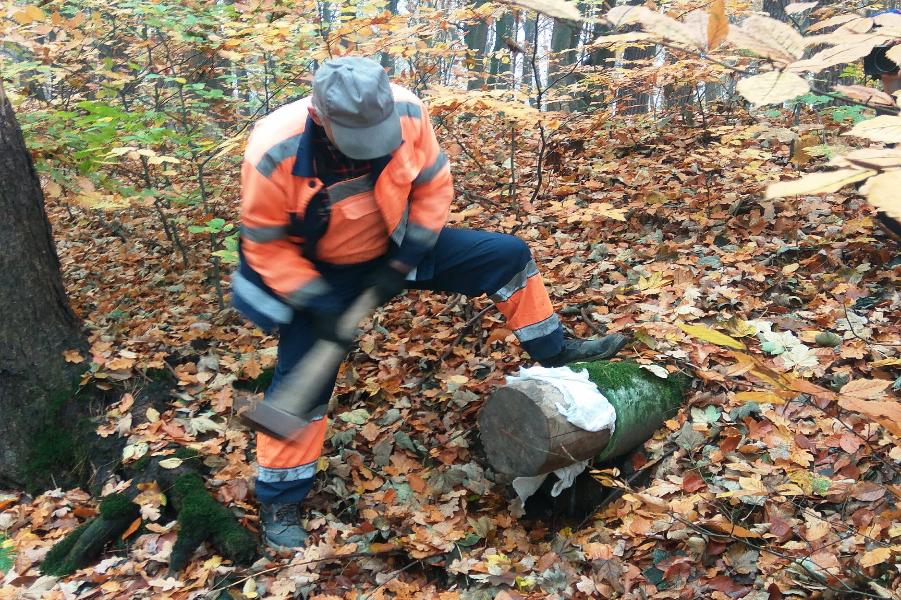 В парке им. Теодора Кроне затампонировали несанкционированные выпуски