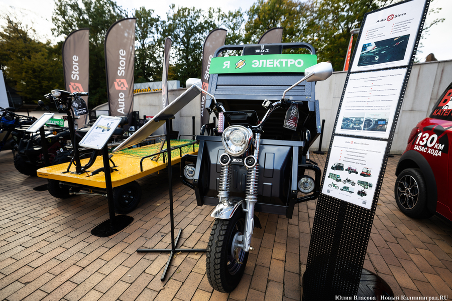 «Как победить тлен»: в Светлогорске открылся Международный балтийский бизнес-форум