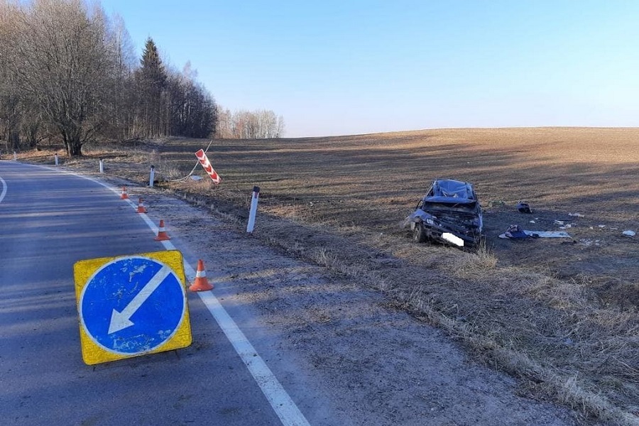 Из-за не справившегося с управлением водителя в ДТП пострадали два его пассажира (фото)