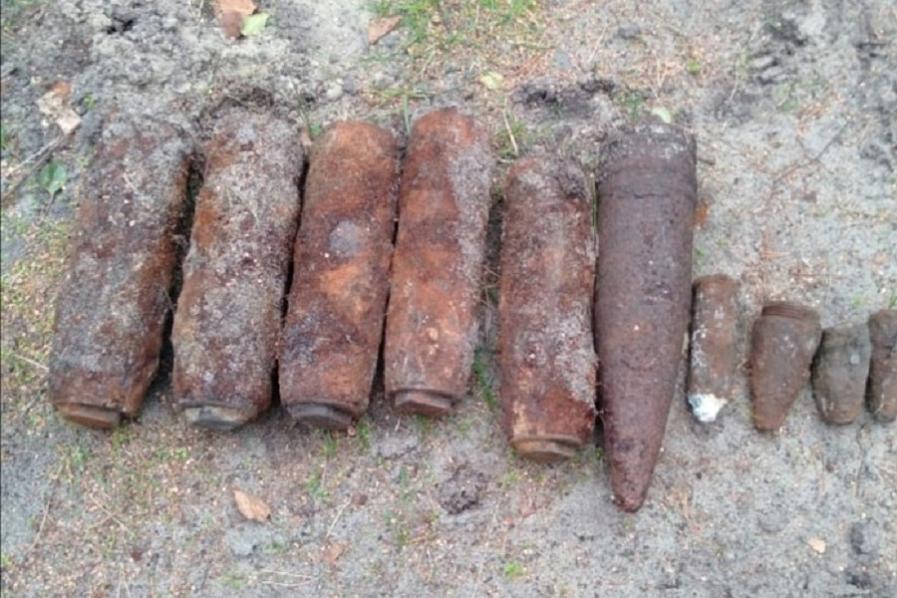 В лесу под Павлово уже почти год продолжают находить снаряды