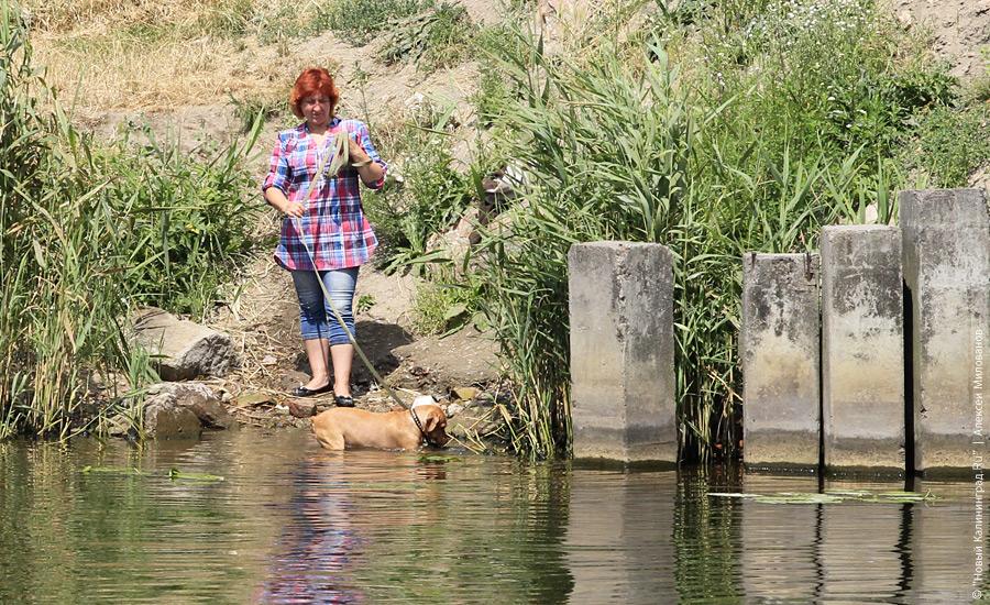 "Жара в большом городе": фоторепортаж "Нового Калининграда.Ru"