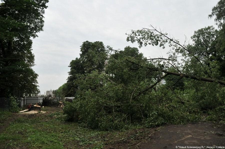 Последствия погрома на Ялтинской: фоторепортаж "Нового Калининграда.Ru"