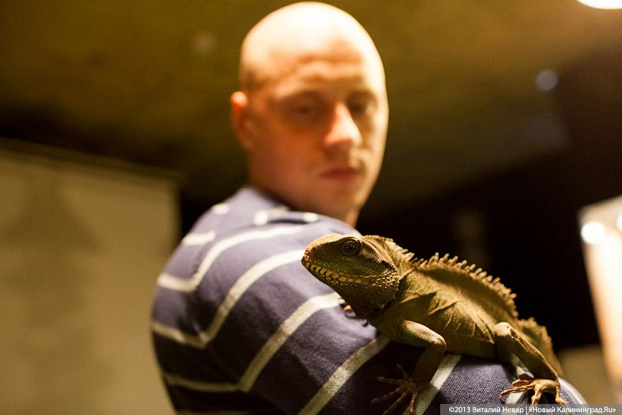 «Зов джунглей»: фоторепортаж с открытия первого калининградского экзотариума