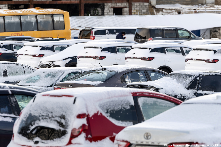 Внезапный снег: Калининград опять оказался не готов к осадкам (фото)