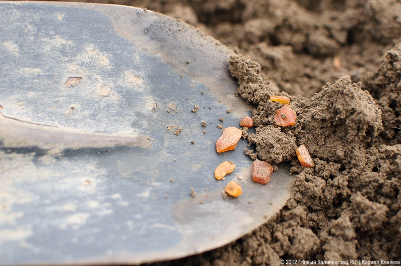 Полицейские изъяли у бригады «черных копателей» 200 граммов янтаря