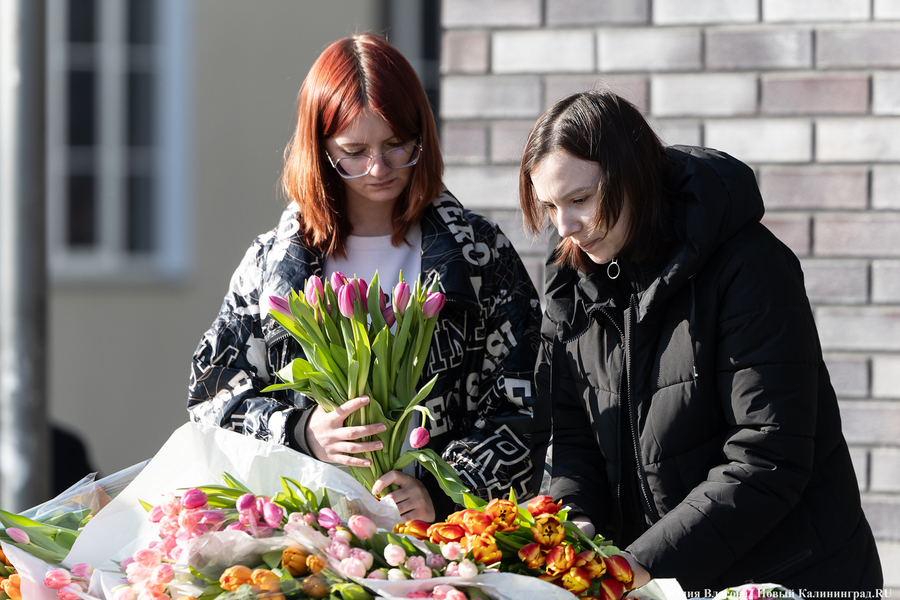 Кругом мимозы и тюльпаны: как выглядят улицы Калининграда 8 марта (фото)