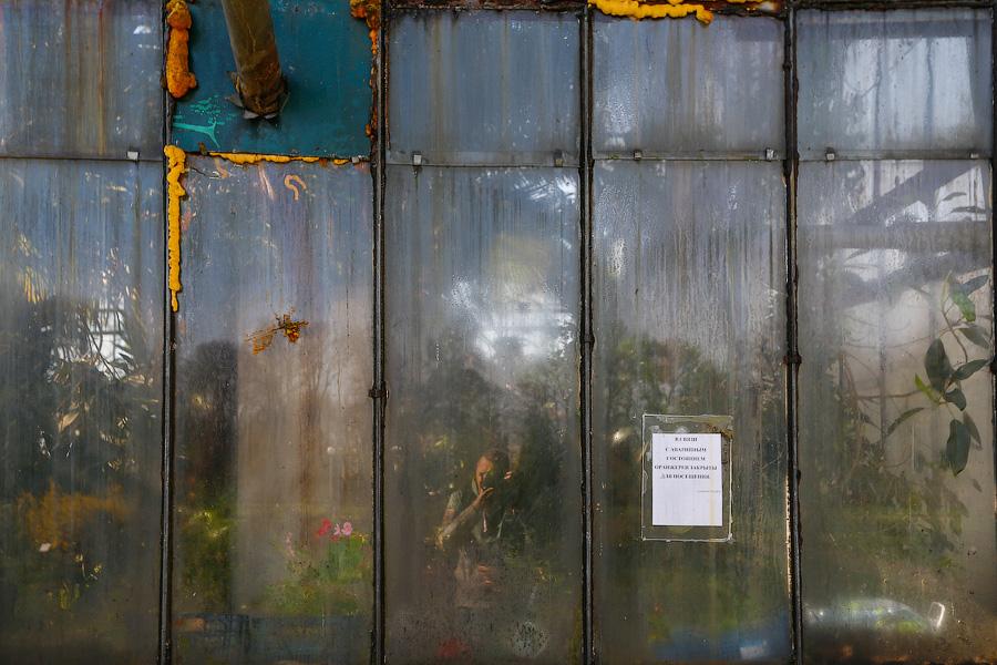 Экзотика в руинах: аварийные оранжереи Ботанического сада и их будущее