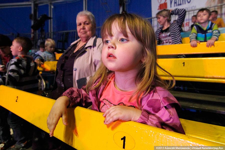 «Цирк в подарок»: фоторепортаж c премьеры цирковой программы