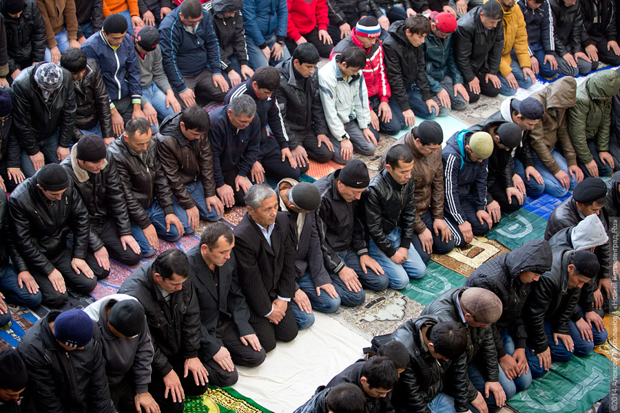 Лукашенко: я готов выступить посредником в диалоге между Макроном и мусульманами