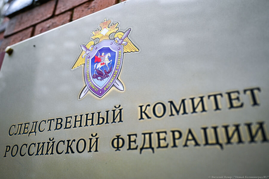 17 ударов ножом: жительницу Янтарного  обвиняют в убийстве сожителя