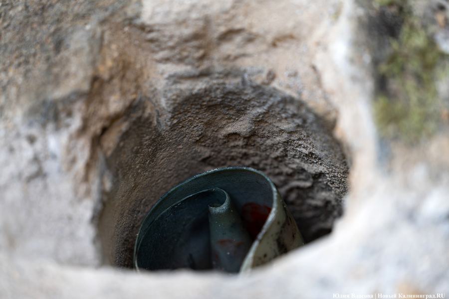 Эхо прошлого: в Калининградском зоопарке извлекли 94-летнюю «капсулу времени» (фото)