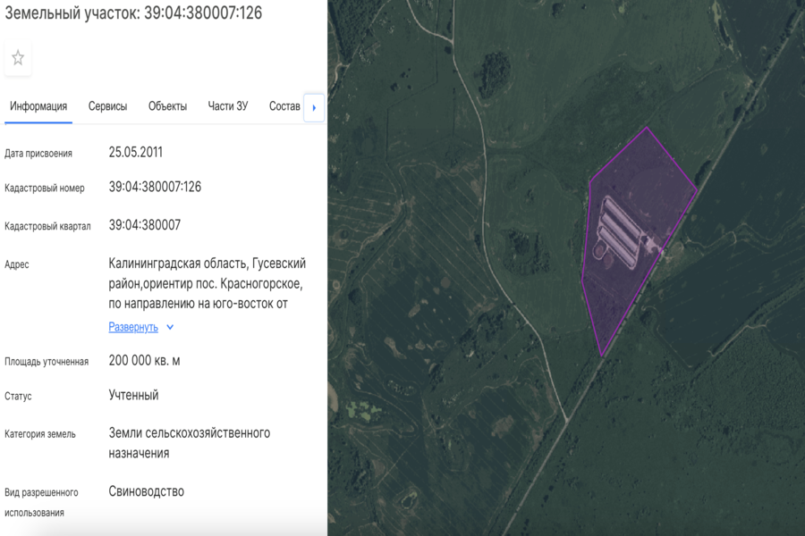 Экспертиза одобрила проект откормочника на 4000 голов под Гусевом 