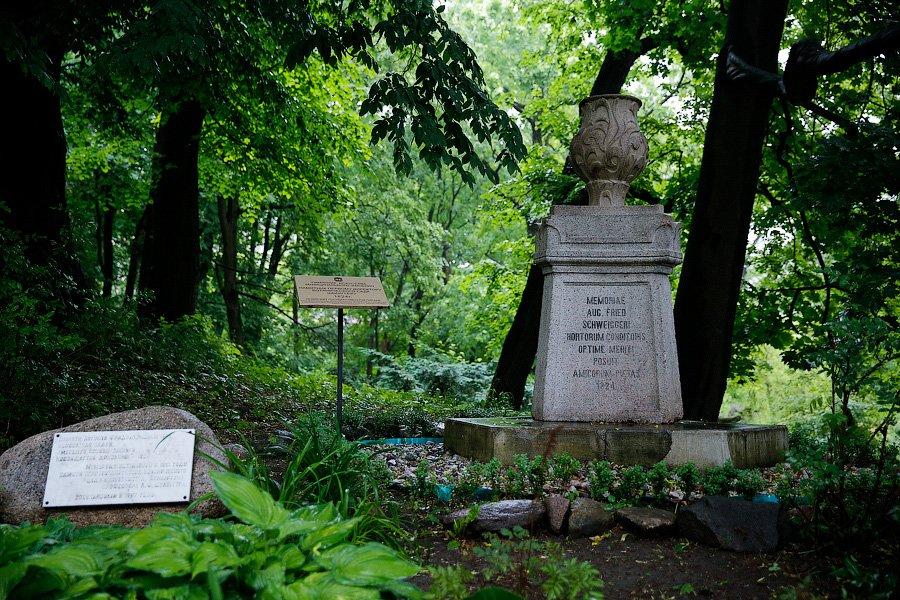 На неведомых дорожках: дендропарк калининградского Экоцентра